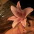 Avatar for Anankobanana