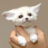 Avatar for kaizenfennec