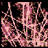 Avatar for Pothos4