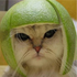Avatar di Moffious