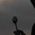 Avatar di Solanel