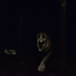 Avatar for pseudolocal
