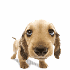 Avatar for JerryNZL