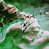 Avatar for ShoogyPeters