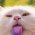 Avatar for lumiel_9