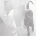 Avatar for whinichuu
