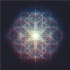 Avatar di hopeulikeit