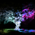 Avatar for Mentalink