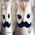 Avatar for serenitysmoonsm