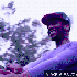 Avatar for dadaproletariat