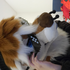Avatar for alienmuttz
