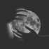 Avatar for N0xxxx
