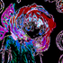 Avatar for xsolomonsealx