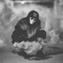 Avatar de Mister_Frog