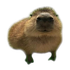 Avatar for C0nnerist
