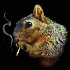 Avatar for muffinnismo