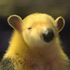 Avatar for julianrobin