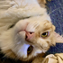 Avatar for chrstopher