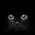 Avatar for okudooka