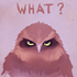 Avatar for cawaorly