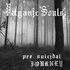 Avatar di Paganic Souls