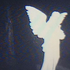 Avatar for tylerr_0