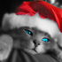 Avatar for EnzoInBlood