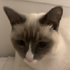 Avatar for miagarro