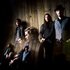 Avatar di My Morning Jacket