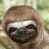 Avatar di jpavdeluxe