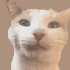 Avatar for walkaboy24