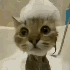Avatar for Funset