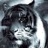 Avatar for Evocative_Dream