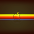 Avatar for kingofkong81