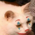 Avatar for sarahfryingpan