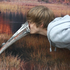 Avatar de Dansmith93