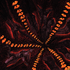 Avatar for insidebane