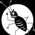 Avatar for dieKiwi