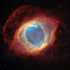 Avatar for FoleyRose