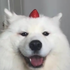 Avatar di gulyas23