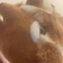 Avatar for cglzy