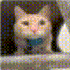 Avatar di Fluffy_21