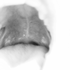Avatar for queenmikko
