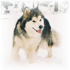 Avatar for Mirtrione