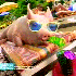 CollinPeck için avatar
