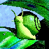 Avatar for patronkat