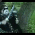 Avatar für zepedrowdp