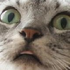 Avatar für ConcentricJazz