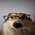 Avatar for JAYGOGH