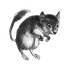 Avatar for travva666